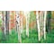 Biggies Scenes Window Well Scenes-Woods, 100 in wide x 60 in high BG-WW-WDS-100 - alternate 1